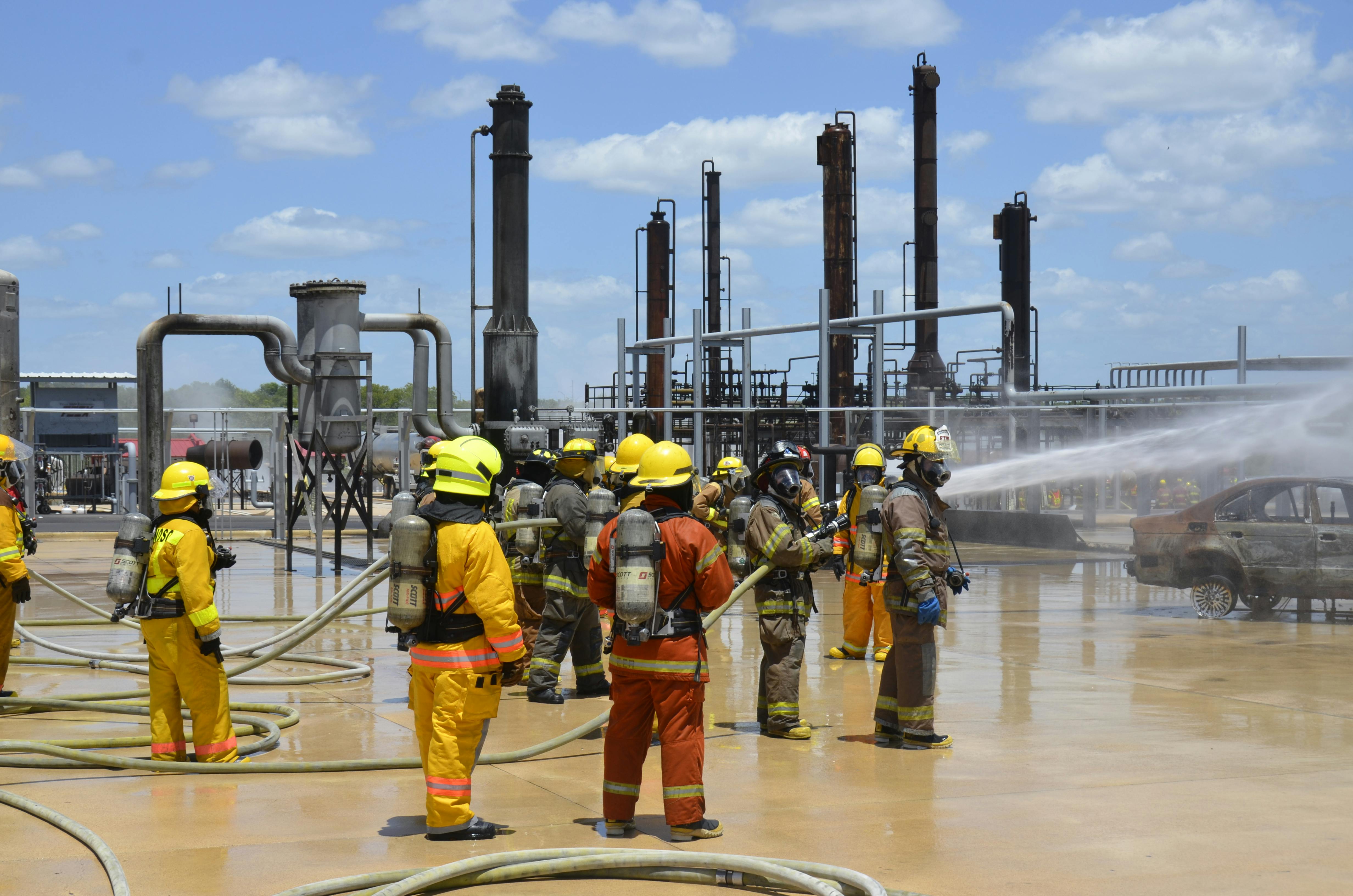 Diverse Training Programs
